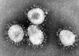 ¿Qué estamos aprendiendo del coronavirus y sus efectos en la economía?