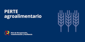 'PERTE' agroalimentario: el timo de pagar 10 para recibir uno (antes de impuestos)