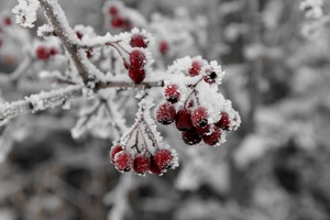 Un invierno duro con las medidas equivocadas.